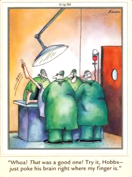 Screenshot2025-08-12at16-25-5710FarSideComicsThatMightMakeYouAvoidtheDoctorForever.png.610b1fc81cffbf05d06445bf1d0e0079.png