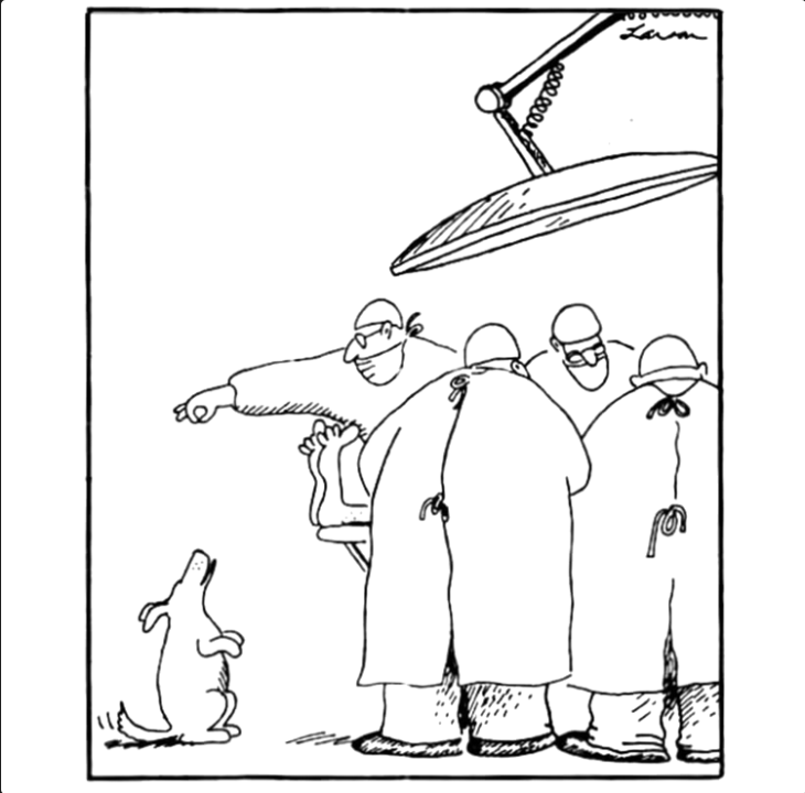Screenshot2025-08-12at16-27-4110FarSideComicsThatMightMakeYouAvoidtheDoctorForever.thumb.png.675d2cee3149632968a9999f4707bdd0.png