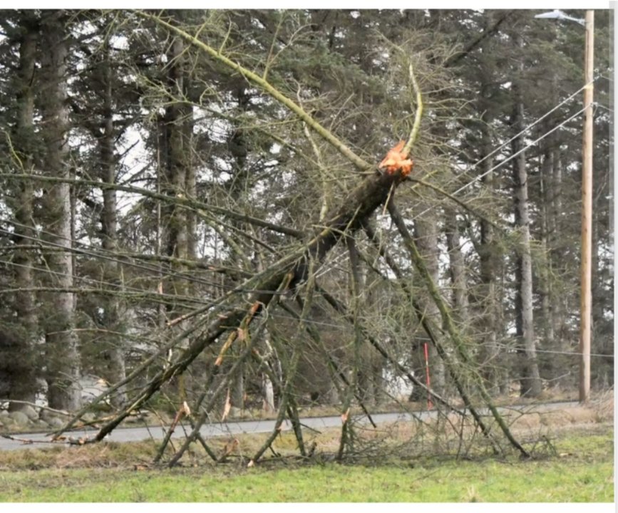 Screenshot_20251004-134852_Samsung Internet.jpg