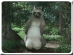 post-104510-1154340872_thumb.gif