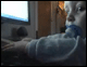 post-105689-1183575551_thumb.gif