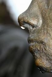 post-115001-1182126121_thumb.jpg
