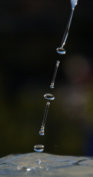 post-11579-1152900005_thumb.png