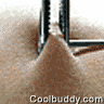 post-121657-1173982075_thumb.gif