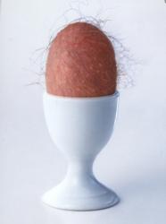 post-122855-1180037748_thumb.jpg