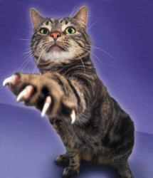 post-124373-1190485378_thumb.jpg