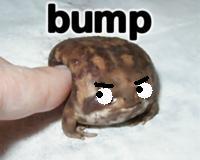 post-125801-1187541862_thumb.jpg