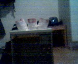 post-132-1099832366_thumb.jpg
