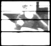 post-13911-1189339432_thumb.png