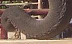 post-15895-1149076739_thumb.jpg