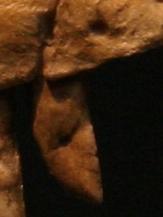 post-17241-1155982945_thumb.jpg