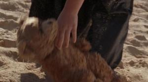 post-18795-1132349047_thumb.jpg