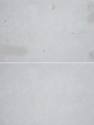 post-208-1123518361_thumb.jpg