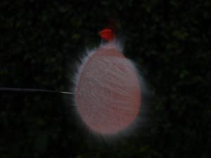post-209-1118335822_thumb.jpg