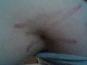 post-214-1118776619_thumb.jpg