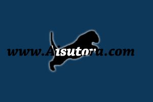 post-215-1109774133_thumb.jpg
