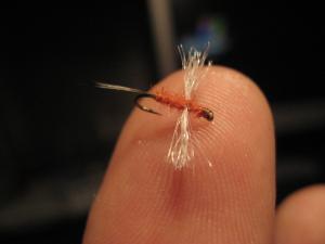 post-21632-1174085374_thumb.jpg
