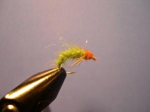 post-21632-1179177356_thumb.jpg