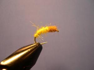 post-21632-1179177364_thumb.jpg