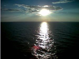 post-218-1103729262_thumb.jpg