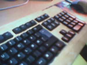post-226-1099758302_thumb.jpg