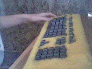 post-226-1100357734_thumb.jpg
