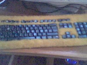 post-226-1100357769_thumb.jpg