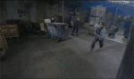 post-24892-1142886092_thumb.gif