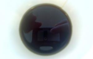 post-25139-1152474688_thumb.jpg