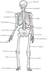 post-29887-1153090488_thumb.jpg