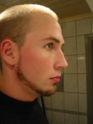 post-31865-1165880160_thumb.jpg