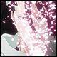 post-52027-1157557554_thumb.jpg