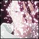 post-52027-1157557559_thumb.jpg