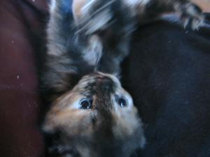 IMG_1720.jpg