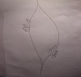 post-63-1106326685_thumb.jpg
