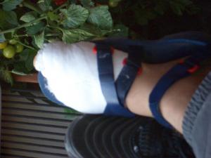 post-63-1119962491_thumb.jpg