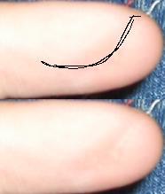 post-63-1128007471_thumb.jpg