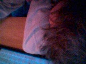 post-70204-1161100936_thumb.jpg
