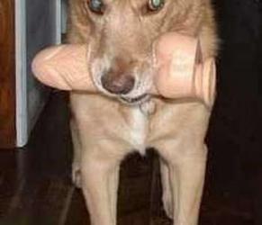 post-73-1113980973_thumb.jpg