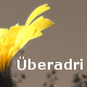 post-76055-1147280005_thumb.png