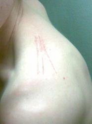 post-8544-1177920647_thumb.jpg
