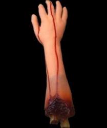post-86468-1158928436_thumb.jpg