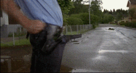 post-92136-1150138224_thumb.gif