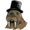 Mr Walrus