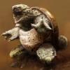 TurtleSquirtel