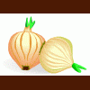 onion1