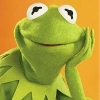 Kermit the frog