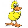 Happy Duck