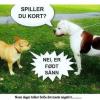 DirkD